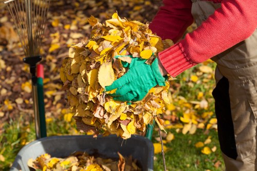 Eco-friendly waste disposal practices for businesses in Wallington